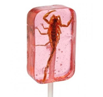 Candy | Hotlix Pops | Scorpion