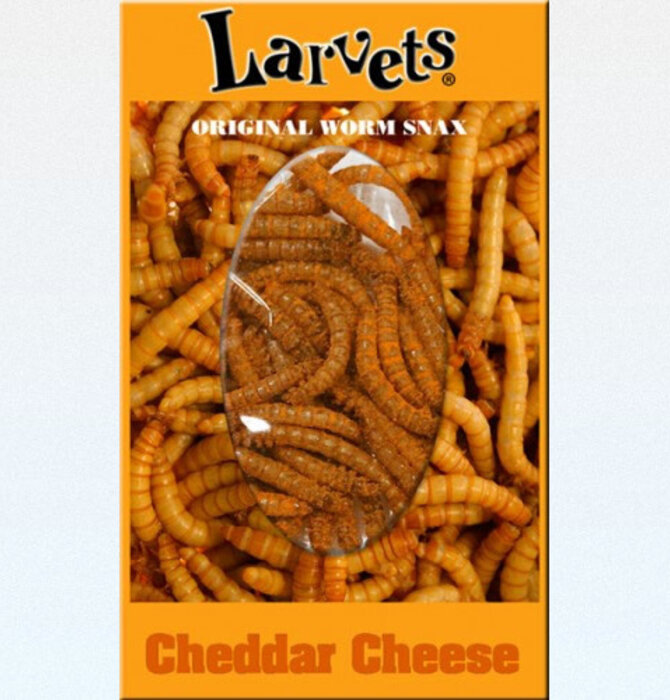 Snack | Larvets® Original Worm Snax