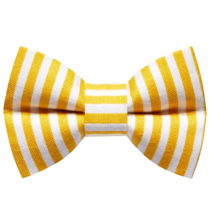 Dog Bow Tie | Large