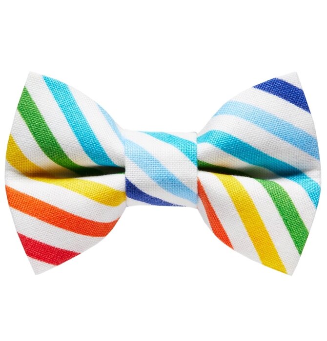 Dog Bow Tie | Large