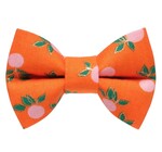 Dog Bow Tie | Large