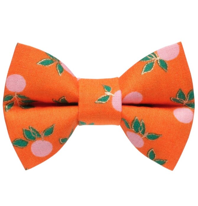 Dog Bow Tie | Large