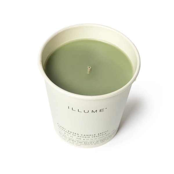 Candle Refill Compostable Hinoki Sage PLENTY Mercantile & Venue