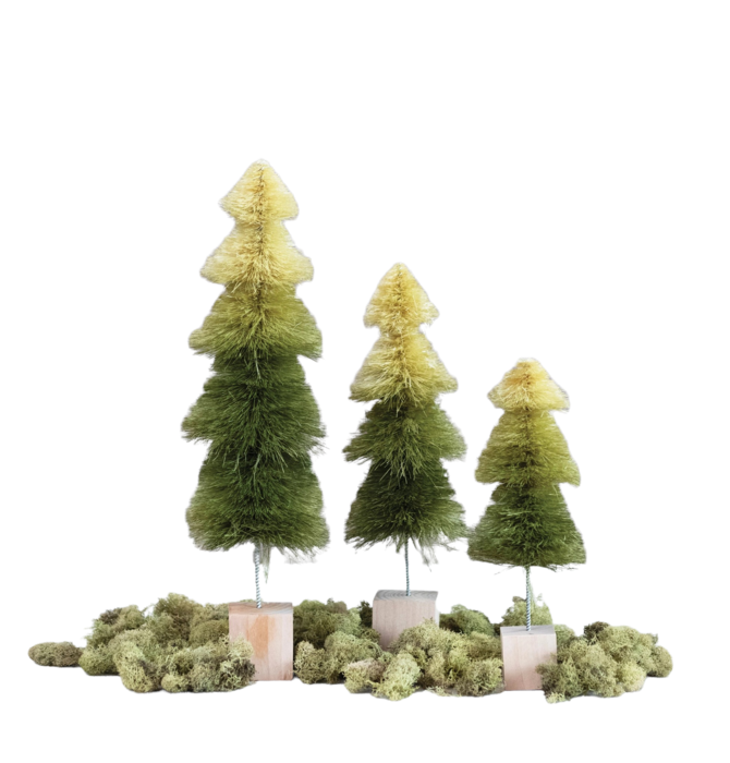 Tree Sisal | Green Ombre