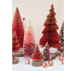 Figure | Red Sisal Tree