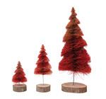 Figure | Red Sisal Tree