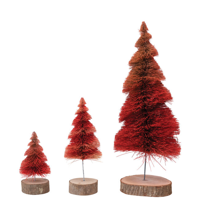 Figure | Red Sisal Tree