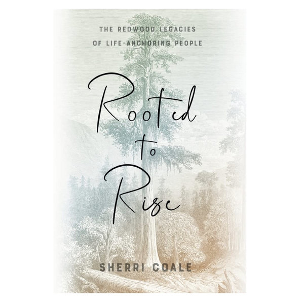 Soul Shine Press Book | Rooted to Rise | Sherri Coale