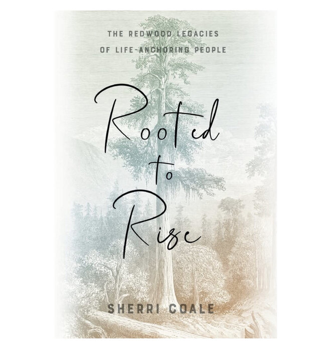 Book | Rooted to Rise | Sherri Coale