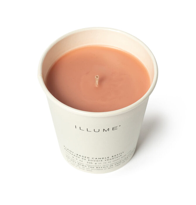 Candle Refill | Compostable | Paloma Petal