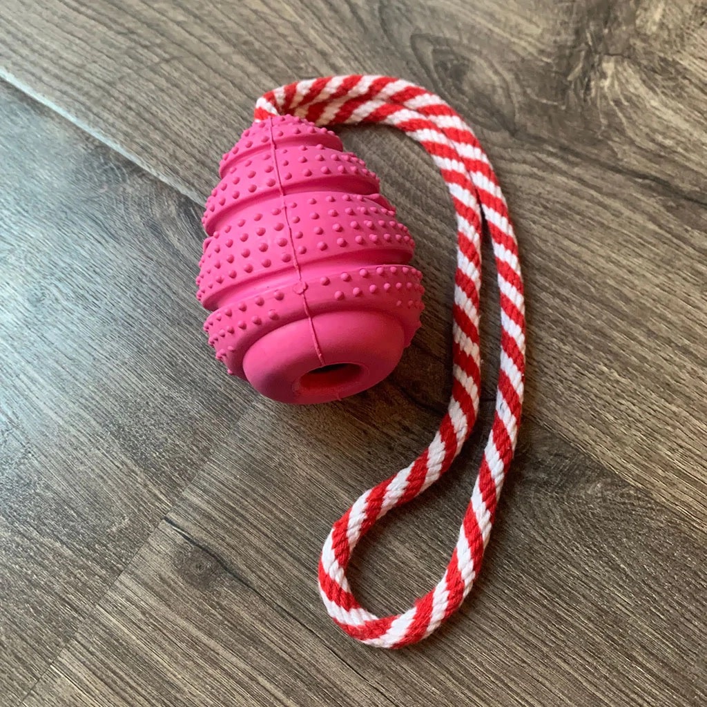 Dog Pull Toy Natural Rubber PLENTY Mercantile & Venue