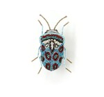 Brooch Pin | Picasso Bug