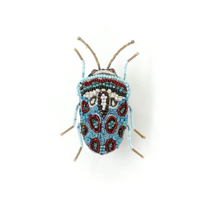 Brooch Pin | Picasso Bug