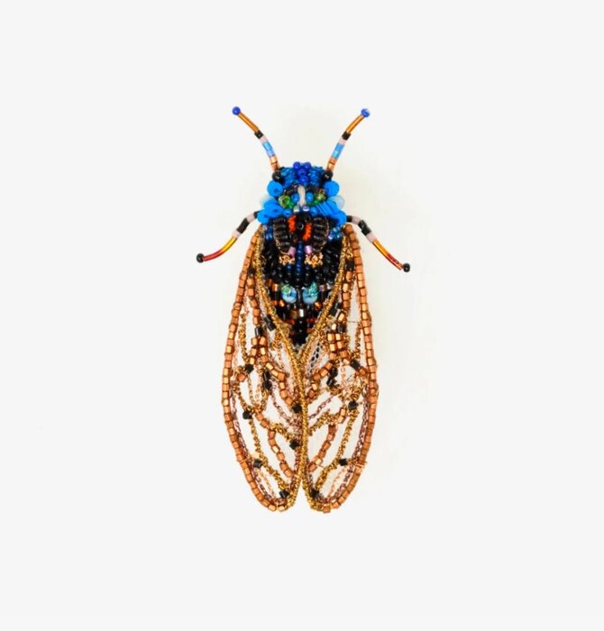 Brooch Pin | Periodical Cicada