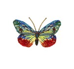 Brooch Pin | Cepora Butterfly