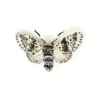 Trovelore Brooch Pin | Alder Kitten Moth