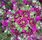 DIY Kaleidoscope | Huckleberry
