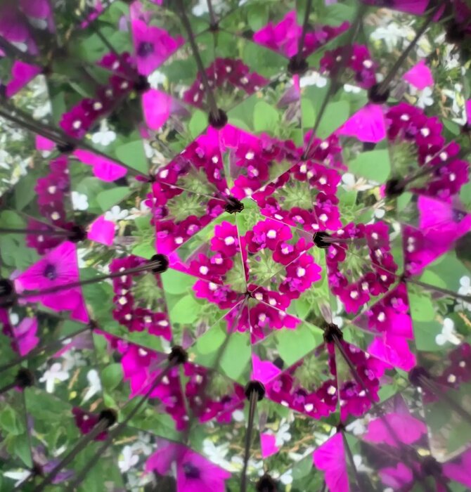 DIY Kaleidoscope | Huckleberry