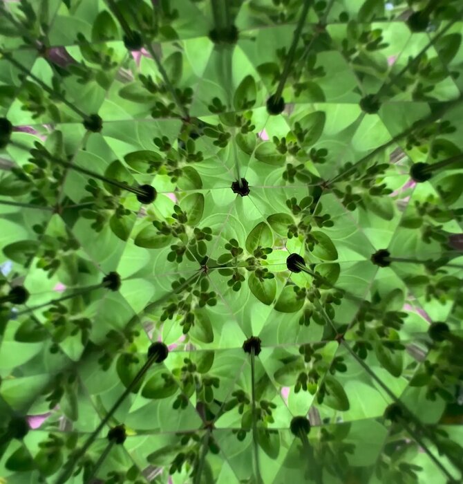 DIY Kaleidoscope | Huckleberry