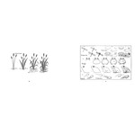 Book | What To Draw & How To Draw It