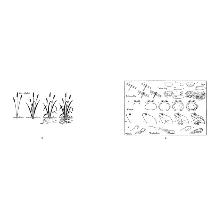 Book | What To Draw & How To Draw It