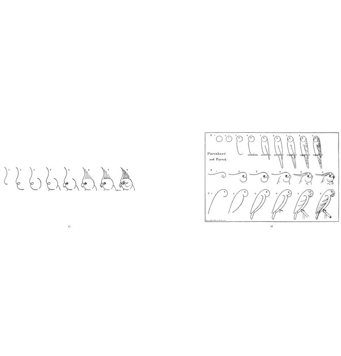 Book | What To Draw & How To Draw It