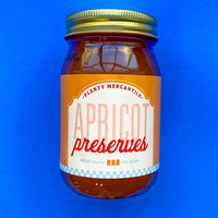 Gourmet Recipe Experts Apricot Preserves | PLENTY
