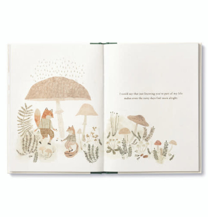 Book | More Than a Little