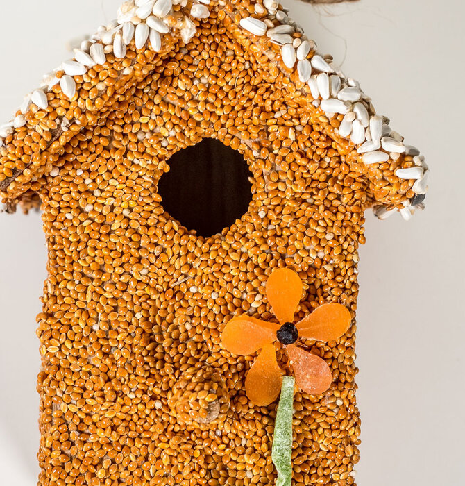 Bird Seed | Fruit Cottage