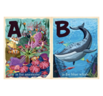 Board Book | BabyLit Alphabet | O Is for Ocean