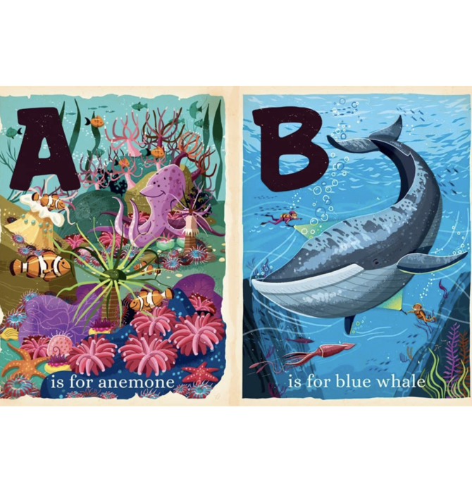 Board Book | BabyLit Alphabet | O Is for Ocean