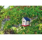 Habitat Paint Kit | "Beetle & Bee Garden"