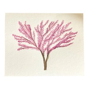 Scissortail Prints Co. Art Print | Redbud Tree (Watercolor)