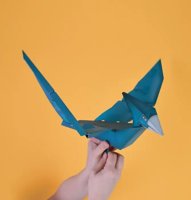 Kit | 3D Dinosaur | Flying Pterosaur