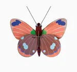 3D Insect Puzzle | Small Butterfly
