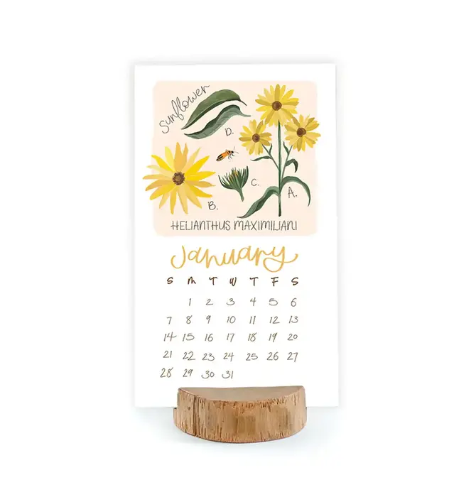 Desk Calendar | 2024 Stump | Wildflower Botanicals