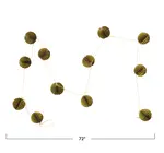 Garland | Paper Honeycomb | Glitter Ball