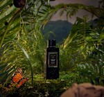 Diffuser Oil | Ultrasonic | Temple Moss traci