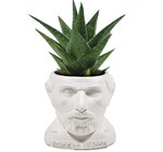 Ceramic Planter Pot | Bust Figure