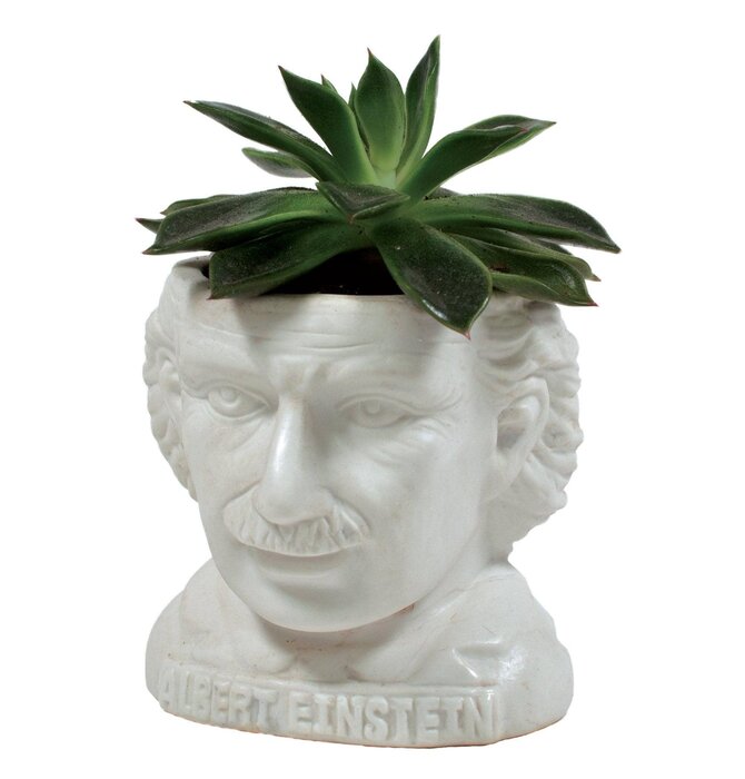 Ceramic Planter Pot | Bust Figure