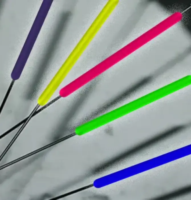 Tool | Bike Spoke Reflectors | Rainbow