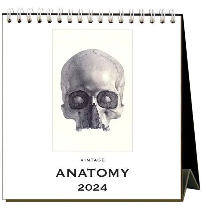 Desk Calendar | 2024 Anatomy