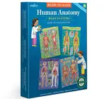 Puzzle Set | Human Anatomy