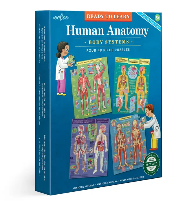 Puzzle Set | Human Anatomy