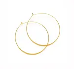 Earrings | Classic Hoops | Gold