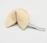 Cat Toy | Fortune Cookie (Catnip)