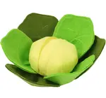 Dog Toy | Snuffle Mat | Cabbage