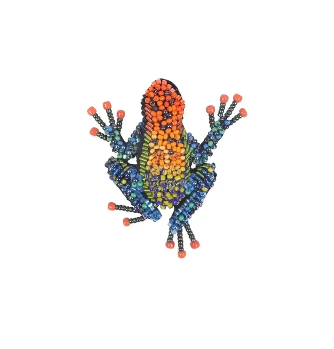 Brooch Pin | Amazonian Poison Dart Frog