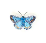 Brooch Pin | Adonis Blue Butterfly