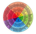 Sticker | Feelings Wheel | Bright Rainbow